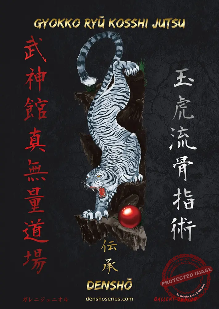 GYOKKO-RYU-DENSHO-capa.webp