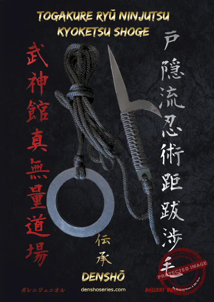TOGAKURE-RYU-KYOKETSU-SHOGE-DENSHO-capa.webp